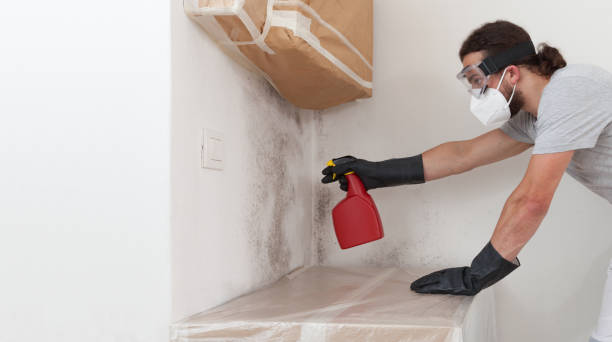 Professional Attic Mold Removal technician working in Burnsville, NC