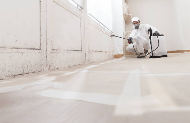 24/7 Emergency Attic Mold Removal experts in Burnsville, NC
