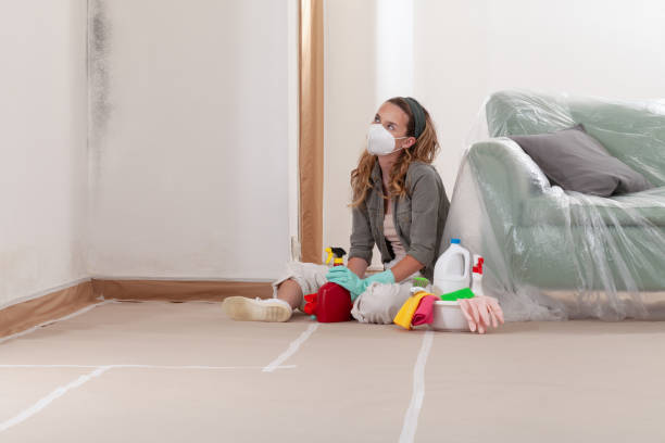 Reliable Attic Mold Removal contractor in Burnsville, NC by WQB Mold Removal